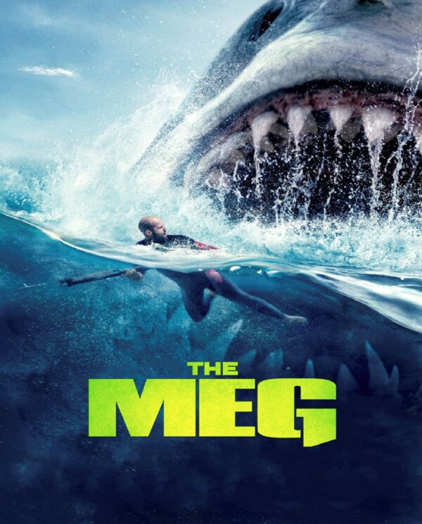 THE MEG