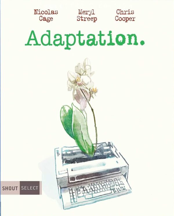 Adaptation
